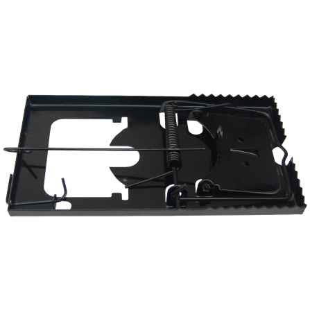 CURSA PENTRU SOARECI 160 X 88 - 635021