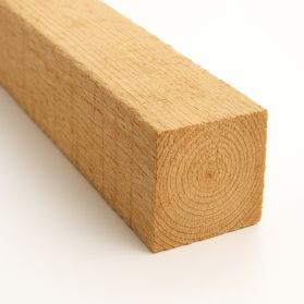 CHERESTEA RASINOASA 8CMX8CM/6ML